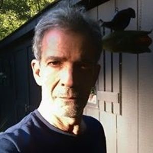 donovandesign avatar