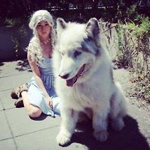 danny_themalamute avatar