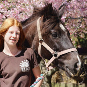 horselover_amy avatar
