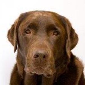 theotherjanesmith avatar