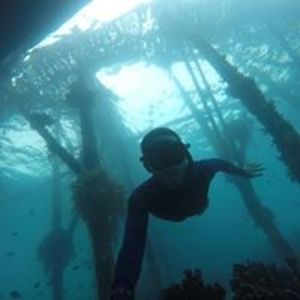 sabda_priyanto avatar