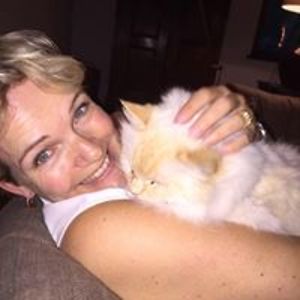 schlingemannhovig avatar