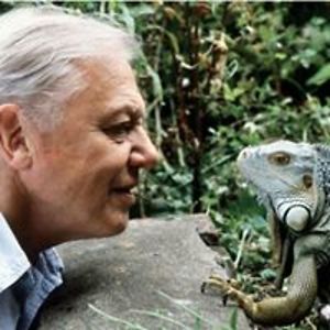 shaunwatts_imaging avatar