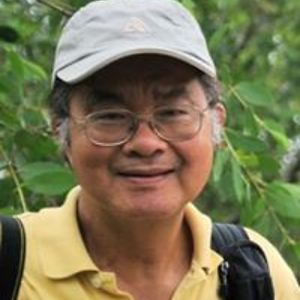 tranaicukhoai avatar