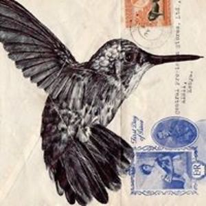 wetotallyruhl avatar