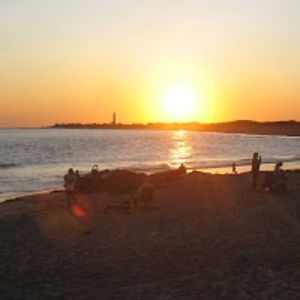 ccmspecialpeople avatar