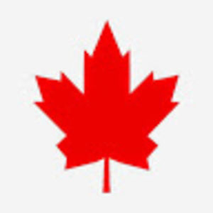 olivierdavignon avatar