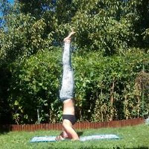 nesamskolovala12 avatar