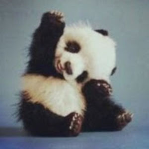 luciaeldridge avatar