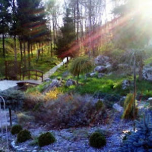 konradhqrsnowak avatar