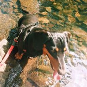 anne_mccartney01 avatar