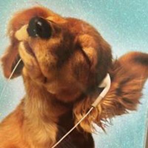 therightonebaby avatar