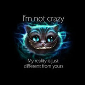 kerryamburgy-dicksonkalex avatar