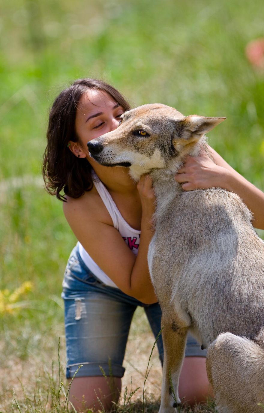 I Photographed A Family Living With Wolves