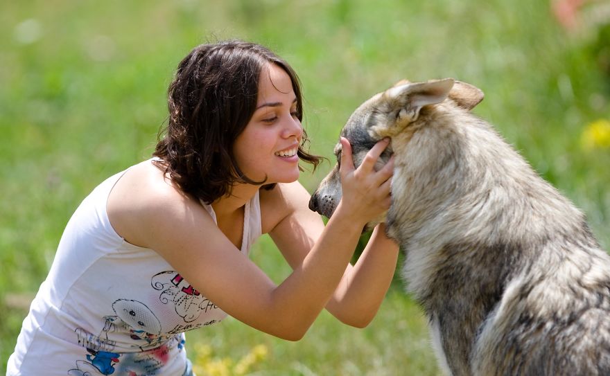 I Photographed A Family Living With Wolves I Photographed A Family Living With Wolves