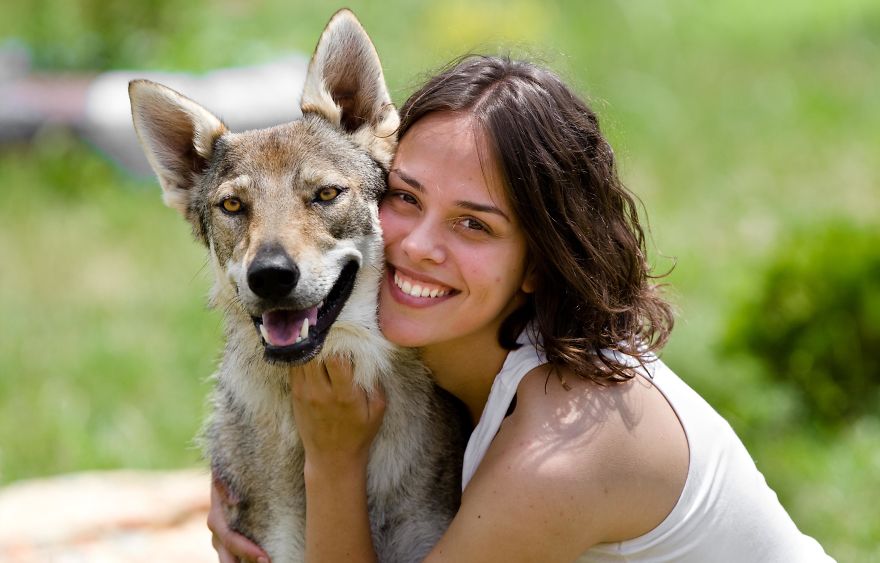 I Photographed A Family Living With Wolves I Photographed A Family Living With Wolves