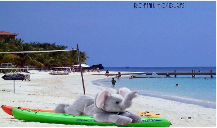 Chilling On The Caribbean In Honduras :d