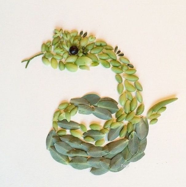 Playing With Flowers And Make 30 Shapes