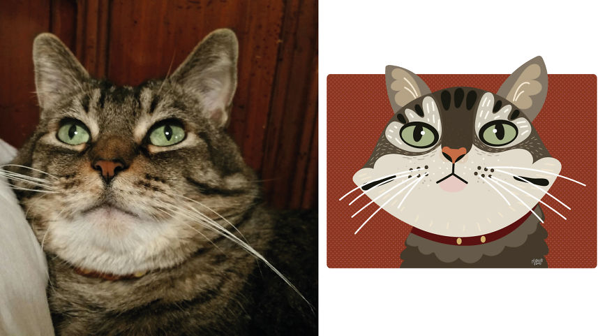 I Draw Cats And Dogs From Photos