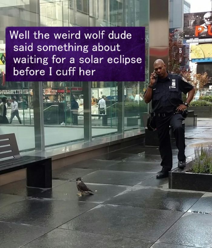 A Ladyhawke Moment...