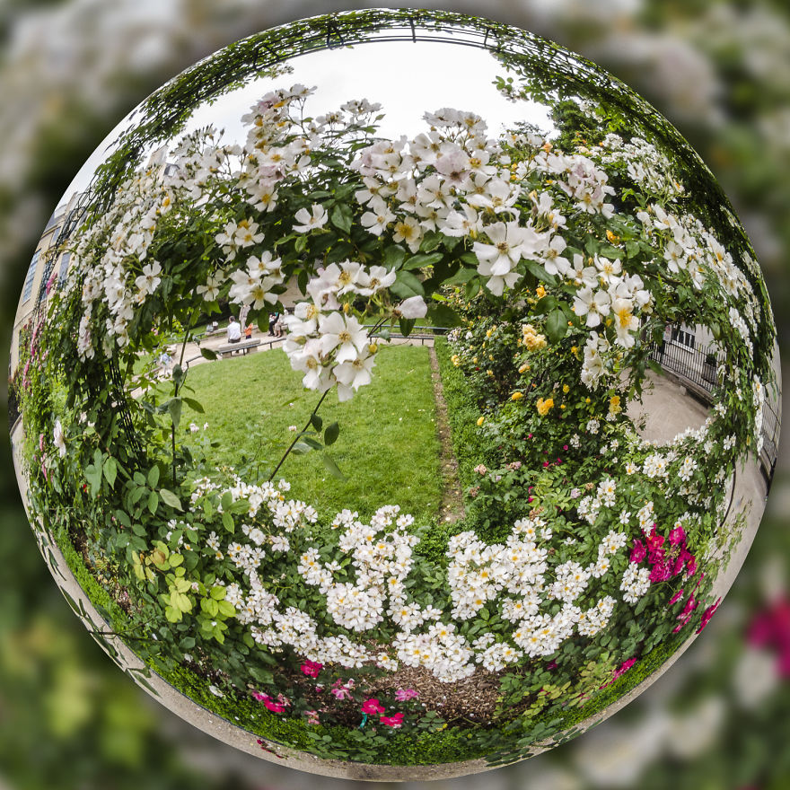 Silence In Paris....where To Find The Best Secret Parks Silence In Paris....where To Find The Best Secret Parks