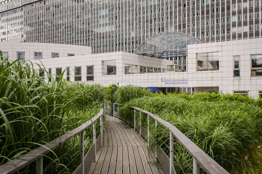 Silence In Paris....where To Find The Best Secret Parks