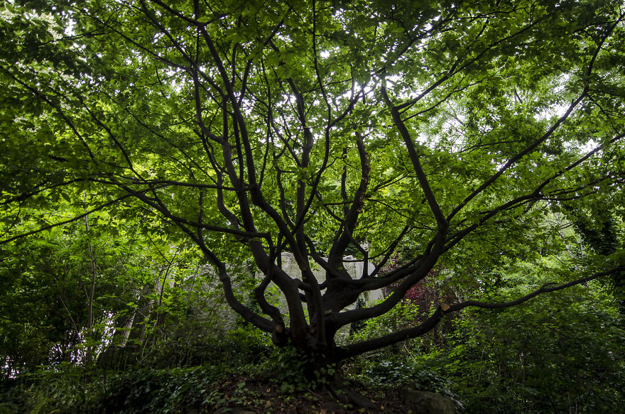 Silence In Paris....where To Find The Best Secret Parks