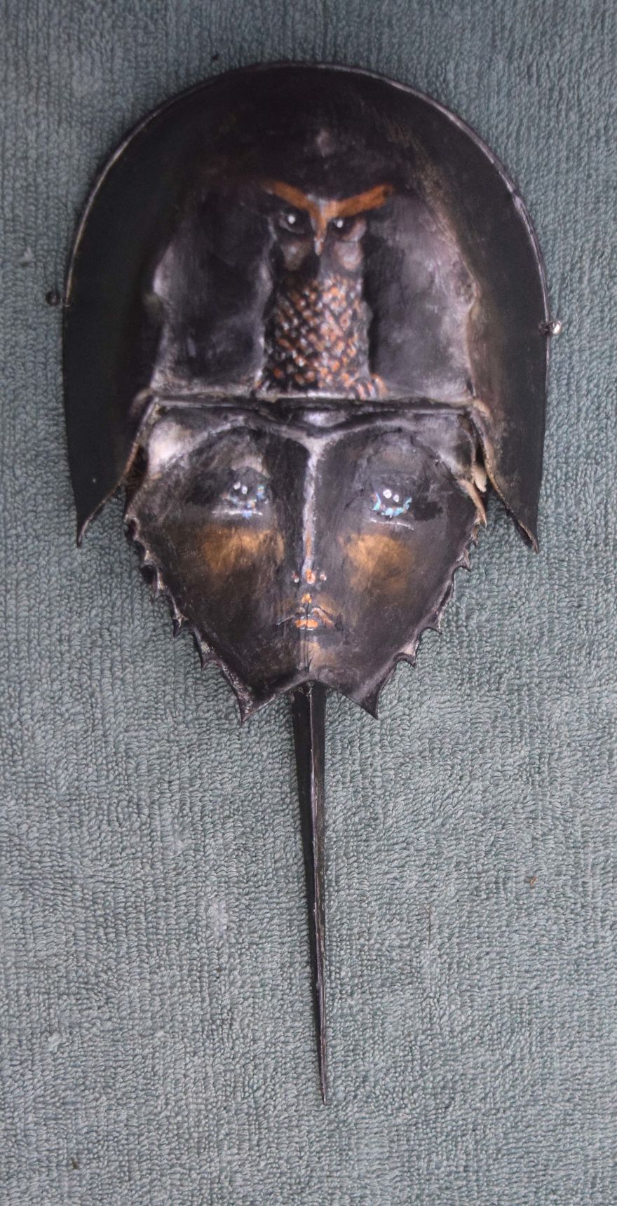 I Create Artwork From Horseshoe Crabs I Create Artwork From Horseshoe Crabs