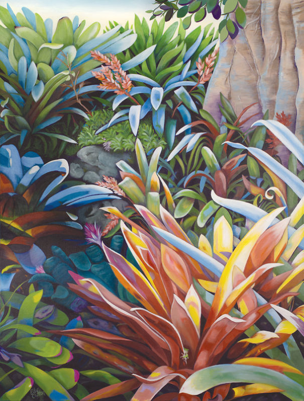 I Paint Colorful Bromeliads