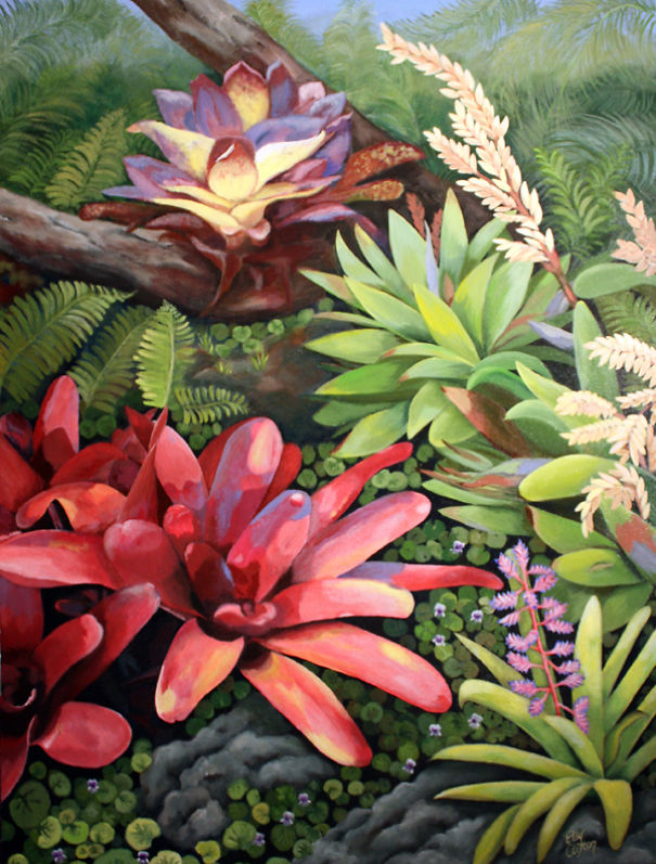 I Paint Colorful Bromeliads I Paint Colorful Bromeliads