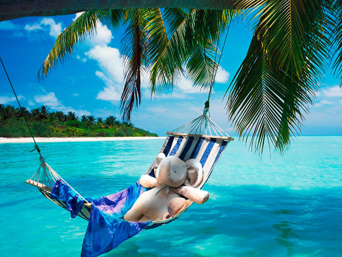 Needing A Little Nap After Travelling 135 Places So Far