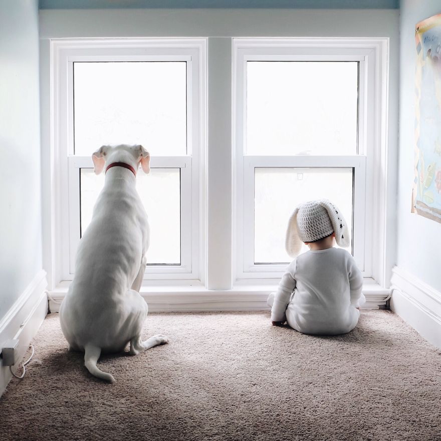 Our Rescue Puppy Is The Best Sleeping Buddy To Our 8-Month-Old Son