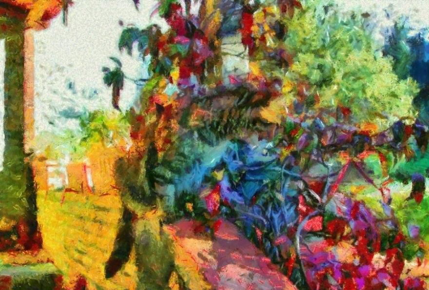 I Could See The Difference Between My Cat's Imagination And Reality