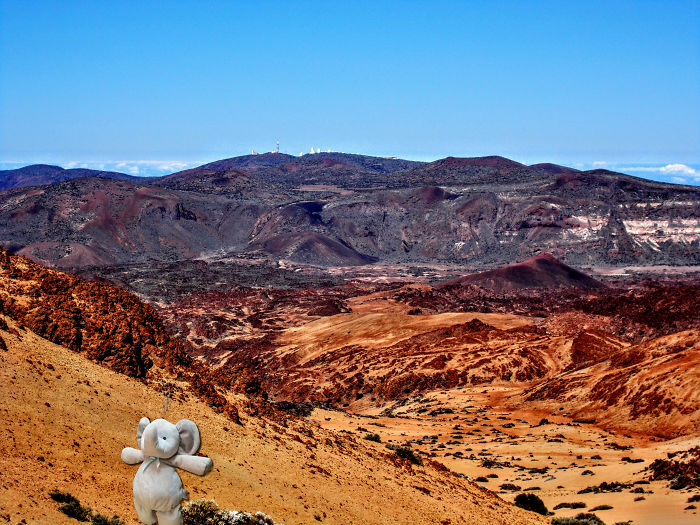Climbing Up A Volcano In The Canary Islands...