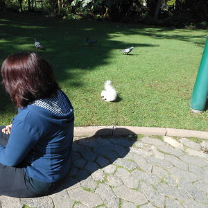 licia.randall1 avatar