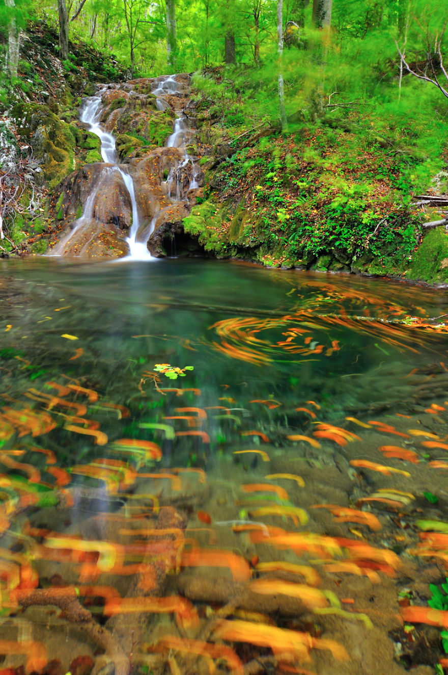 I Express My Love For Waterfalls By Photographing Waterfalls Of Romania I Express My Love For Waterfalls By Photographing Waterfalls Of Romania