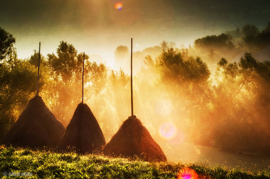 Mornings In Maramures