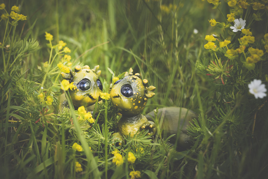 We Found New Species In Our Garden