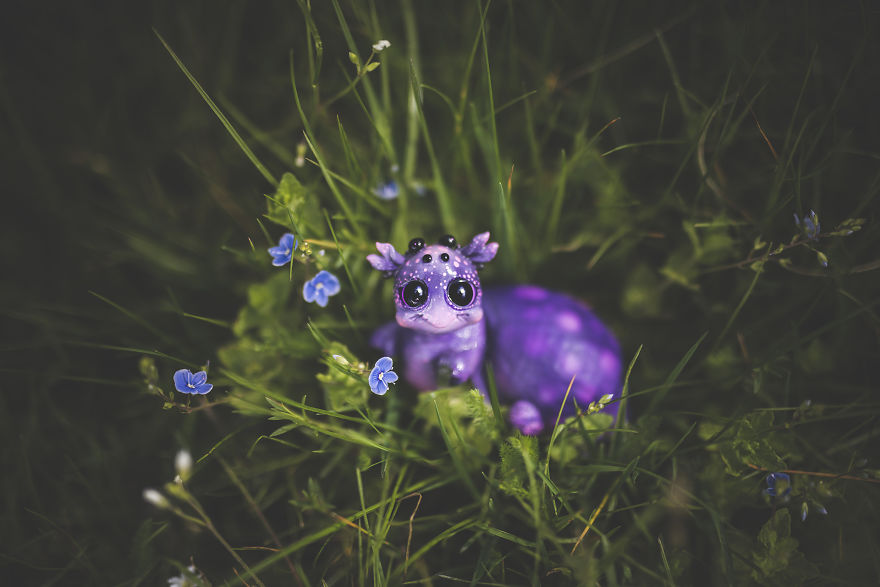 We Found New Species In Our Garden