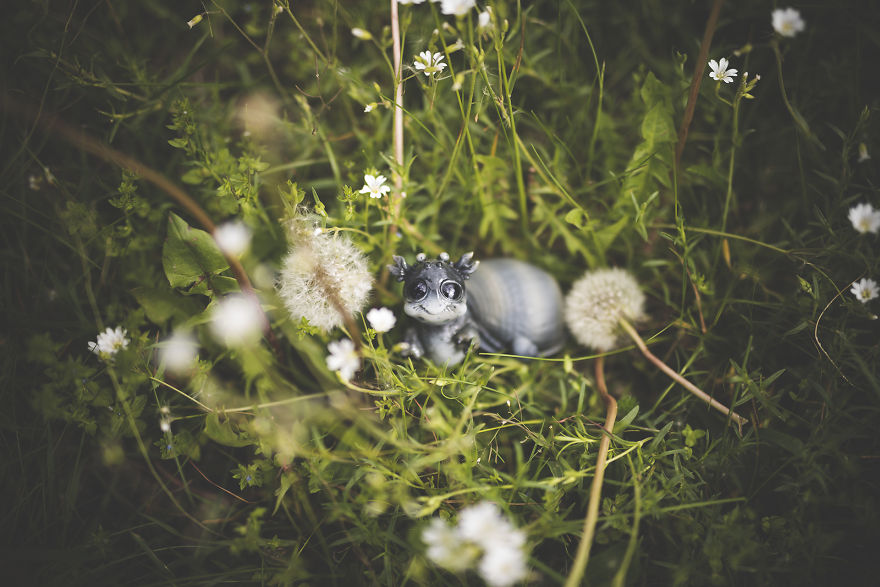 We Found New Species In Our Garden