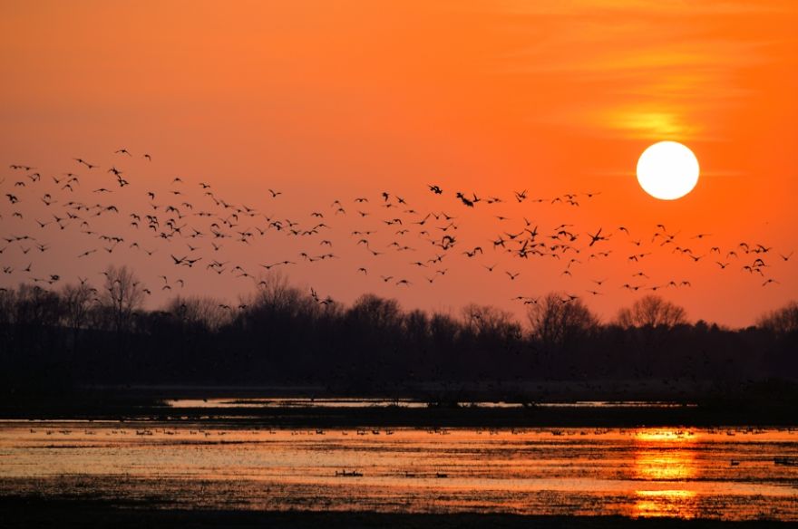 A Day In A Journey Of Many A Day In A Journey Of Many