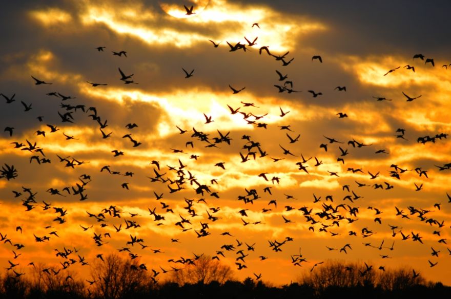 A Day In A Journey Of Many A Day In A Journey Of Many