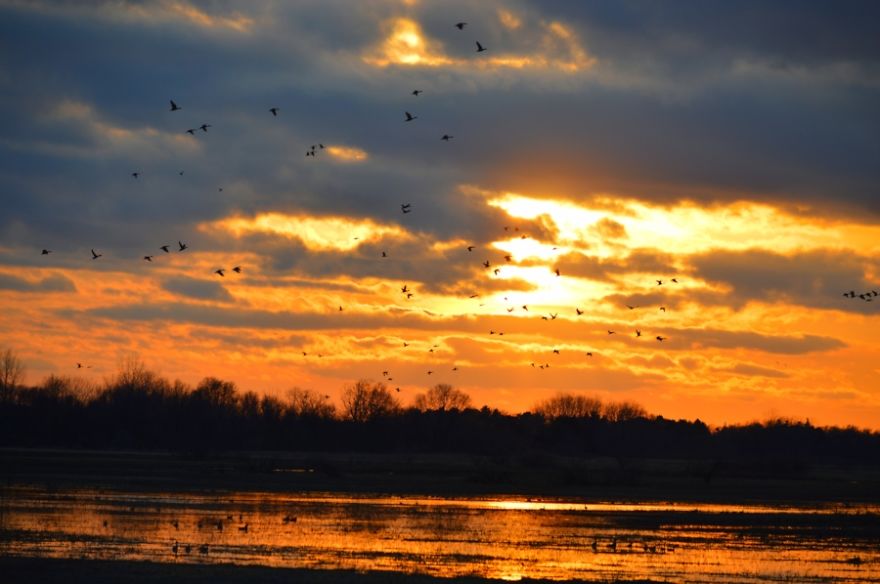 A Day In A Journey Of Many A Day In A Journey Of Many