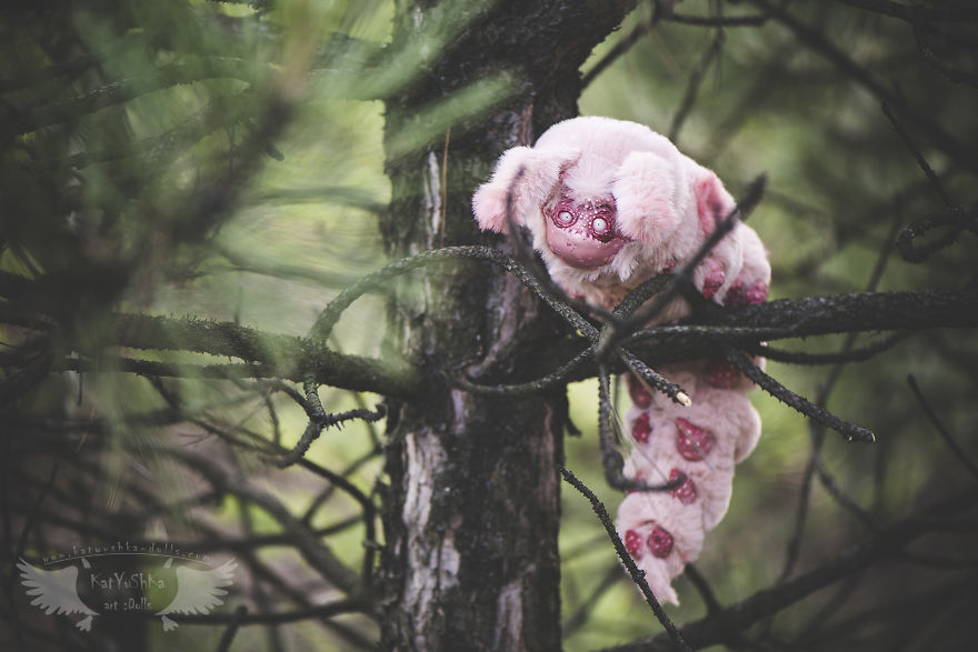 We Found New Species In Our Garden