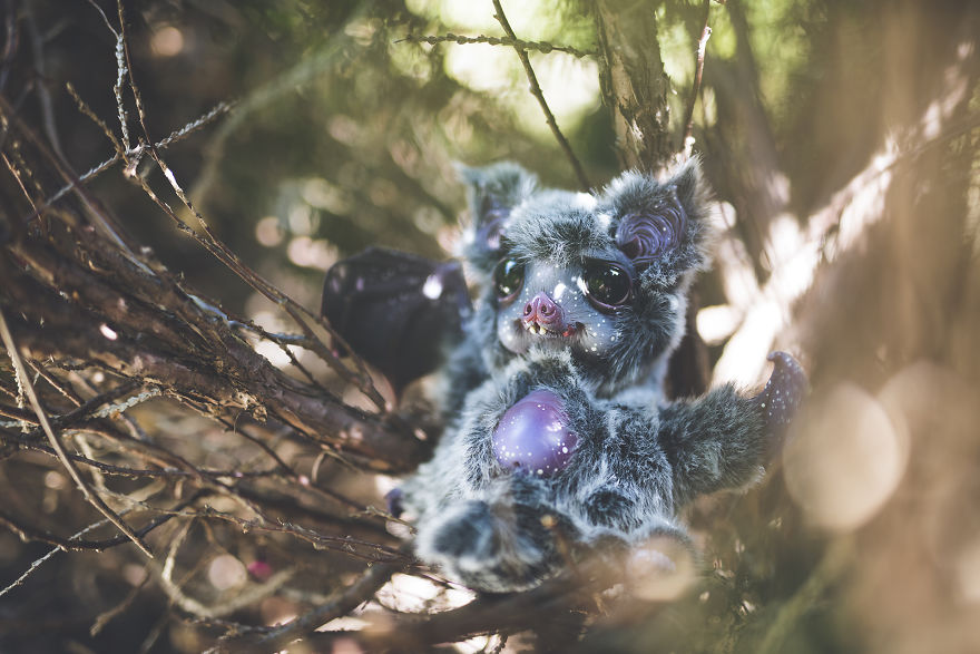 We Found New Species In Our Garden