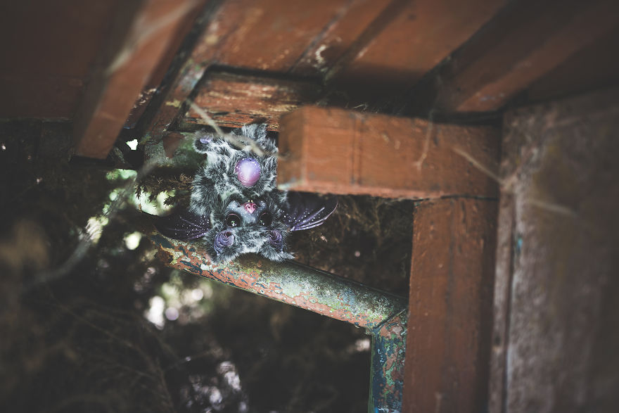 We Found New Species In Our Garden