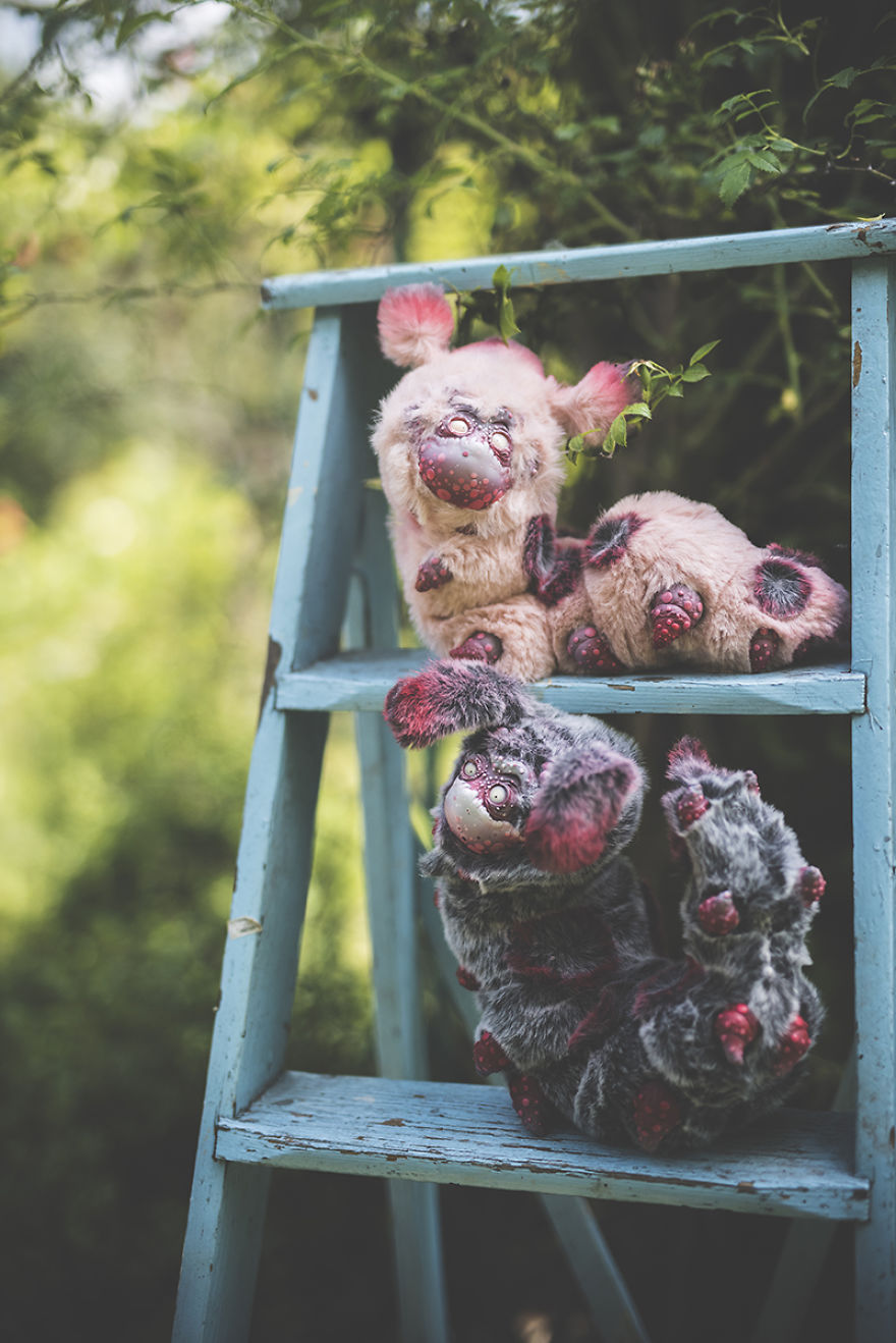 We Found New Species In Our Garden