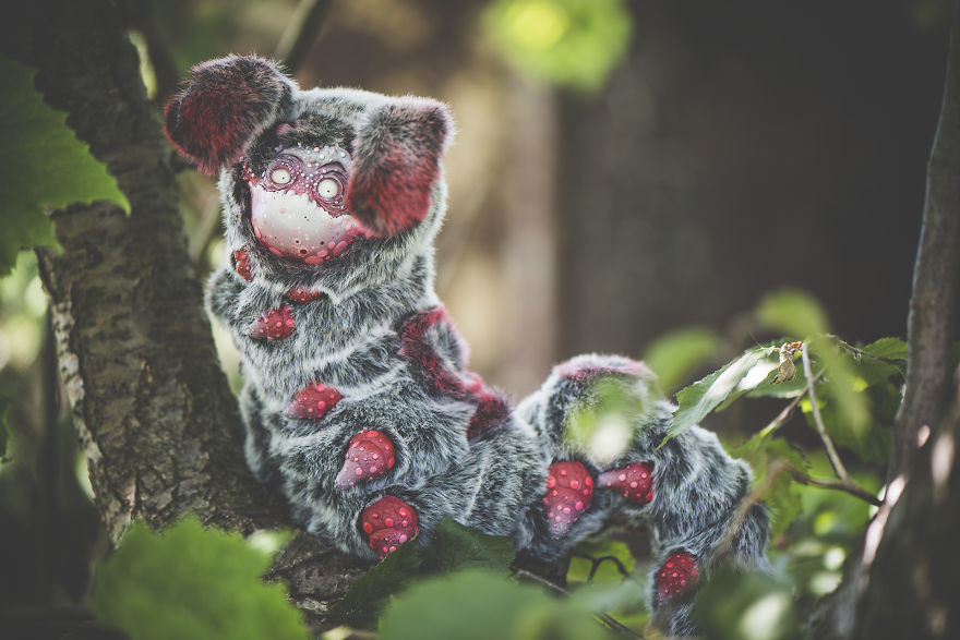 We Found New Species In Our Garden