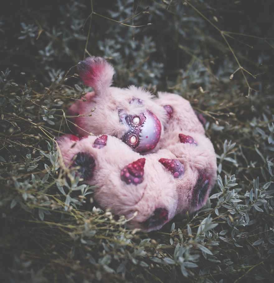 We Found New Species In Our Garden