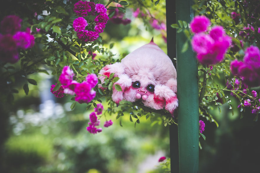 We Found New Species In Our Garden